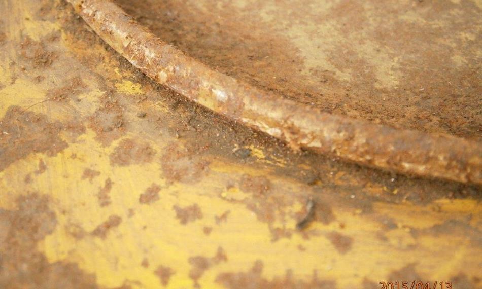 2015-4-20-1153Hostivař - bambus 6.jpg